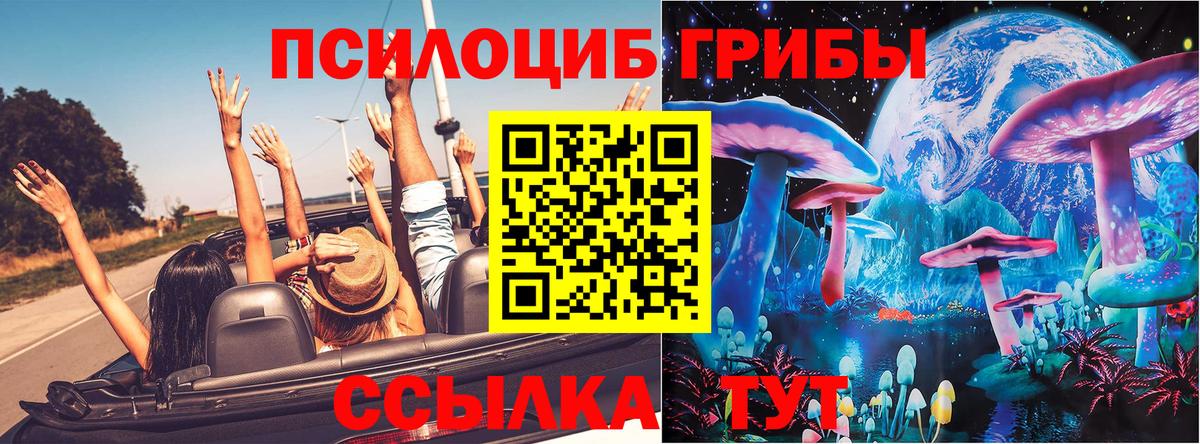 Воронеж  Псилоцибиновые грибы прущие грибы  Вход с VPN  Галлюциногенные грибы Cubensis 