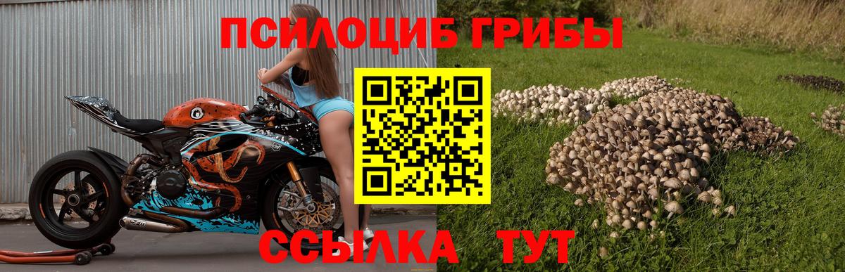 Псилоцибиновые грибы мухоморы Воронеж